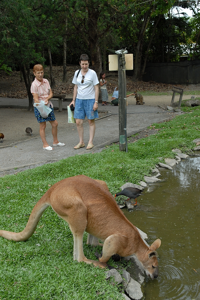 0787 Wildlife Habitat Port Douglas.jpg